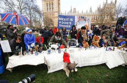 Un grupo de manifestantes posan junto a sus perros durnate la protesta 'Brexit Dogs Dinner' frente a las Casas del Parlamento, en Londres.