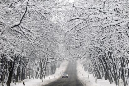 Un automóvil recorre una carretera entre un bosque nevado en Klein Marzehns (este de Alemania).