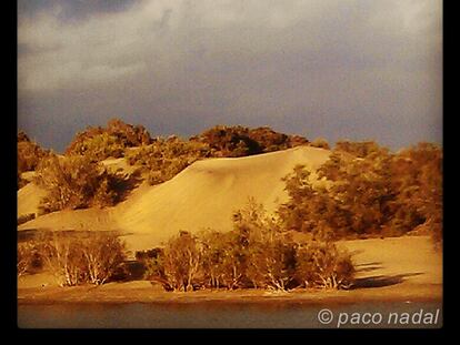 Maspalomas: un cachito del Sáhara olvidado en Gran Canaria