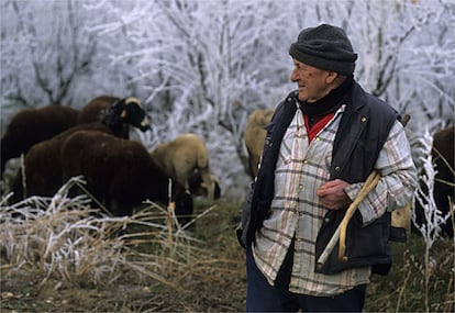 José Villar Pérez, de 73 años, en Torrellas (Zaragoza). Ha sido toda su vida pastor; ya está jubilado, pero a veces va a echarle un ojo a las ovejas de su hermano.