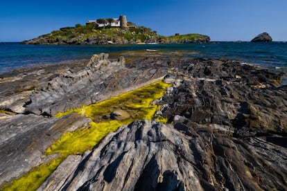 El del Cap de Creus, en el norte de la Costa Brava (Girona), fue el primer parque natural marítimo-terrestre de Cataluña. Protege algo más de 10.000 hectáreas terrestres, con <a href="https://elviajero.elpais.com/elviajero/2013/12/26/actualidad/1388066098_149155.html" target="_blank">la punta del cabo de Creus</a> (y su mítico faro) y el cabo Norfeu como lugares destacados; y algo más de 3.000 hectáreas de una enorme riqueza submarina: el cabo Gros, la punta del cabo de Creus, el cabo Norfeu. Las rocas esculpidas con formas caprichosas por efecto de la tramontana son marca de la casa de este litoral abrupto, salpicado de pequeños islotes, recoletas calas y con acantilados de vértigo. Hay varios senderos de Gran Recorrido, y bonitos pueblos por visitar: Cadaqués, Llançà, El Port de la Selva, La Selva de Mar, <a href="https://elviajero.elpais.com/elviajero/2018/12/27/actualidad/1545926917_407572.html" target="_blank">Roses</a>, Palau-saverdera, Vilajuïga y Pau entre ellos. En la imagen, l'Illa de S'Arenella, una isla privada frente a Cadaqués. <br></br> Más información: <a href="http://parcsnaturals.gencat.cat/es/cap-creus" target="_blank">parcsnaturals.gencat.cat</a>