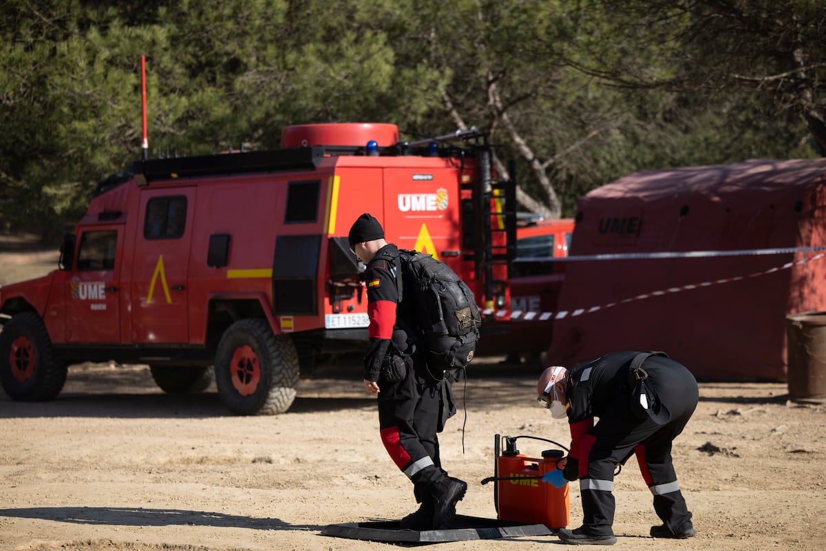 La Generalitat asegura que “la gran mayoría” de los 50 jabalíes muertos en Collserola son negativos en peste porcina