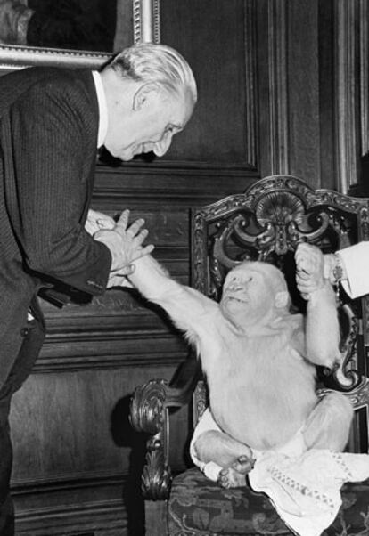Barcelona, 1 de noviembre de 1966. El alcalde Porcioles recibe al gorila albino <i>Copito de Nieve</i>, ejemplar rarísimo en el mundo que es instalado en eñ parque zoológico.