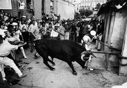 El toro enmaromao, en Benavente (Zamora), en 1973.