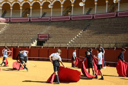 Escolares juegan al toro en La Maestranza en una jornada de puertas abiertas.