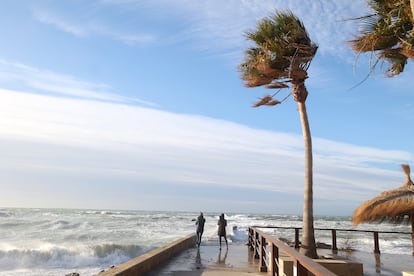 Fuerte oleaje causado por el viento en Palma de Mallorca, que se ha llevado el peor azote de la borrasca ‘Fien’ con ya 81 incidencias, y sigue en situación de alerta meteorológica. 