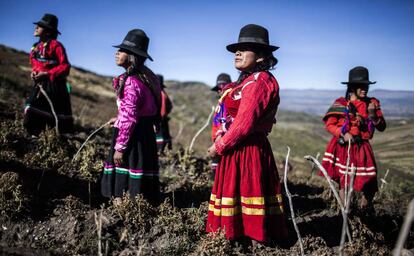 Un grupo de campesinas en las alturas andinas en las que cultivan patatas.