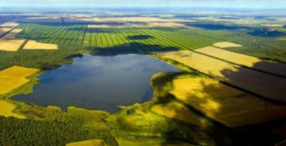 La explotaci&oacute;n agr&iacute;cola argentina La Moraleja. 