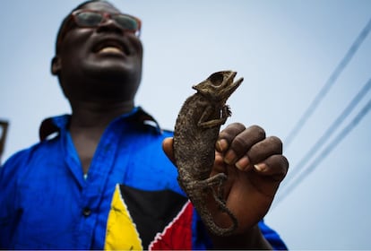 El padre de Okeke Dako se llama Sourou Dako y es guía, pero también sacerdote tradicional. En la imagen, sostiene un camaleón disecado.