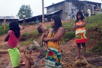 En Nueva Bellavista vive también una amplia comunidad indígena embera que retornó pero vive en altas condiciones de vulnerabilidad. 

