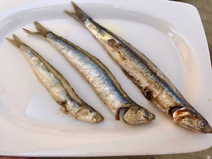 Fritura en el restaurante ChinChin. Impecables los dos boquerones más pequeños. El boqueron grande a la plancha / Capel