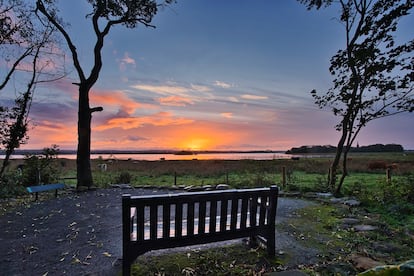 Seamus Heaney HomePlace