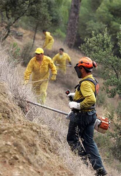 Agentes forestales, en labores de prevención de incendios en San Martín de Valdeiglesias.