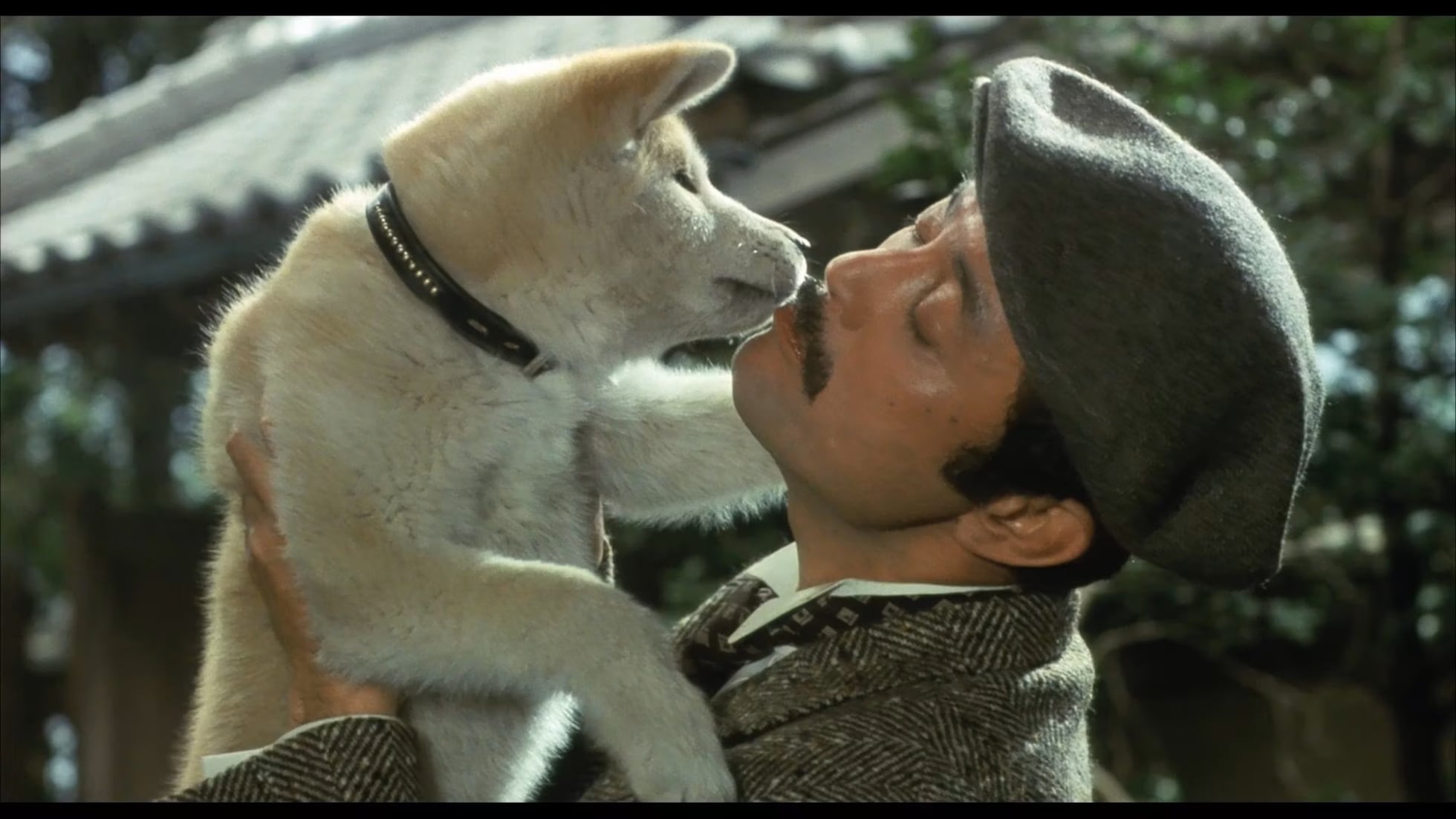 Hachiko, the Japanese dog who died waiting 10 years for his owner | Society  | EL PAÍS English