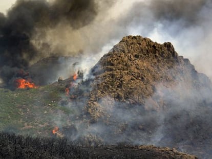 Llamas del incendio forestal declarado esta tarde en el municipio gomero de Alajer&oacute;.