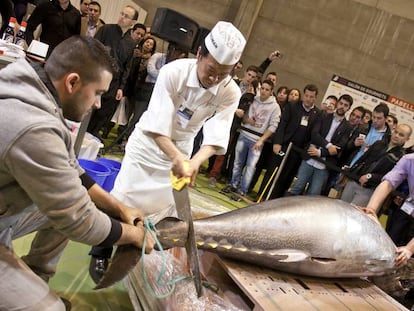 Un exemplar de tonyina vermella a la Fira IFEMA de Madrid, el 2013.