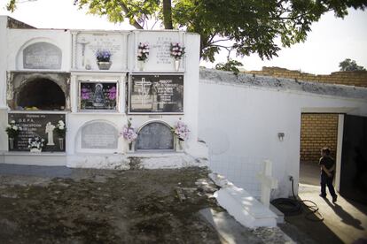 Nichos con flores en el cementerio de la localidad sevillana de Aznalcóllar.