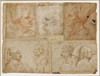 Grotesques, de Leonardo da Vinci