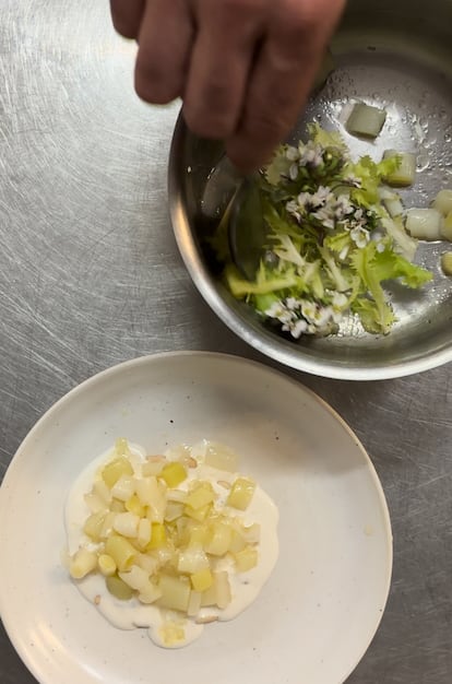 Escarola, puerro joven y piñones, de Jordi Coromina. Imagen proporcionada por el restaurante Thymus.