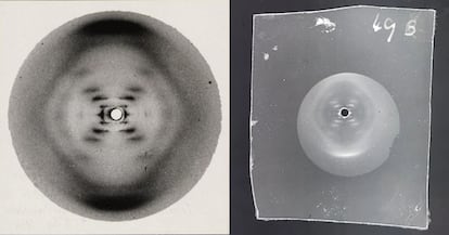 Rosalind Franklin cambio estructura ADN