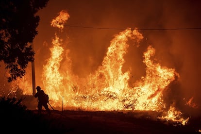 Un bombero trabaja para tratar de apagar las llamas del incendio Delta en el bosque nacional Shasta-Trinity (California).