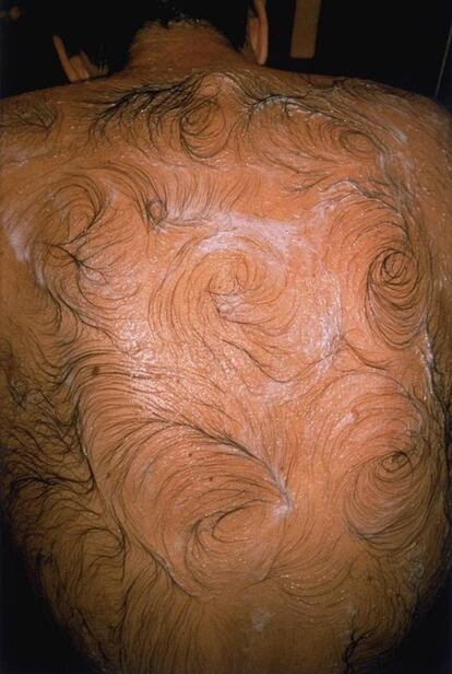 'Van Gogh's Back'. Mona Hatoum.
1995