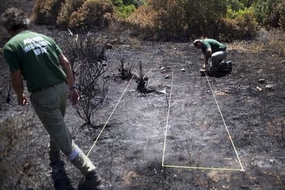 Una vez determinada la posible localización del inicio del fuego, se delimitan una serie de calles o pasillos de aproximadamente medio metro de anchos.