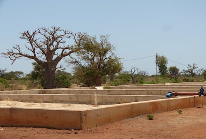 Piscinas de tratamientos de residuos bajo un baobab, a las afueras de la localidad senegalesa de Mbour.