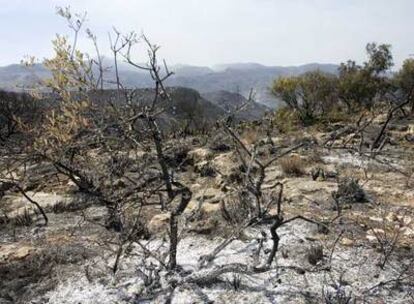 Una de las zonas de Sierra Cabrera que fue arrasada por las llamas.