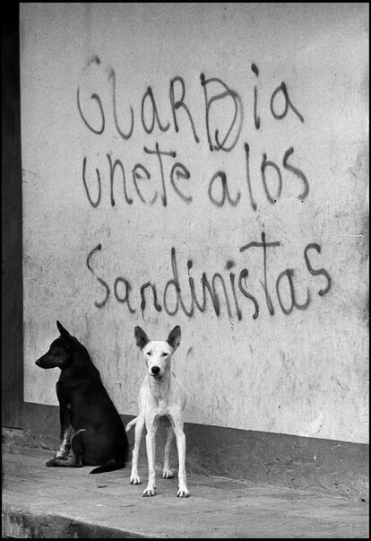 "La cobertura de la revolución sandinista fue mi gran oportunidad, muy joven, de empezar a hacer periodismo, de conocer un tema tan violento, de ver el dinamismo de la guerra, que siempre es muy riesgosa. También de ver de cerca la entrega de los jóvenes a la revolución, el rechazo generalizado de todo lo que veíamos que era la dictadura, la enorme simpatía que había hacia el Frente Sandinista", explica Valtierra (Fresnillo, Zacatecas, 1955) en entrevista con EL PAÍS.