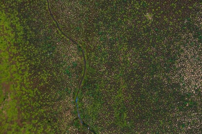 A represa Cantareira, na Bragança Paulista, apresenta o pior nível da sua história: 3,5%.