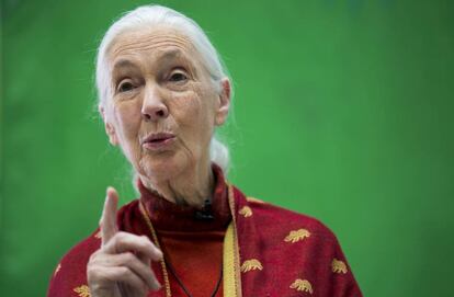 Jane Goodall en la entrega de premios en Madrid.