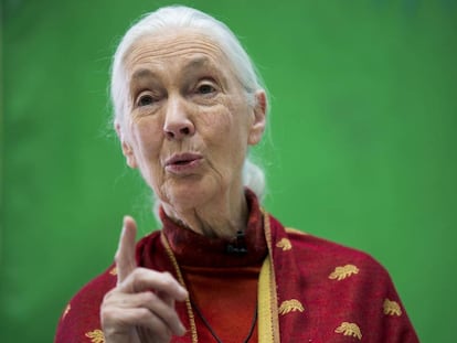 Jane Goodall en la entrega de premios en Madrid.