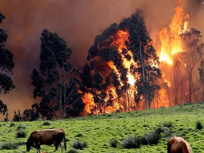 Incendio en la comarca asturiana de Naves