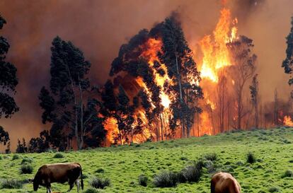 Incendio en la comarca asturiana de Naves