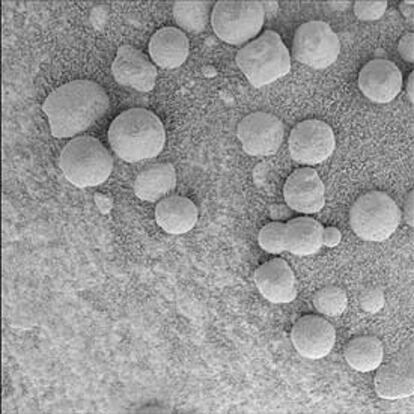 Esférulas captadas en la superficie de Marte por el robot <i>Opportunity.</i>