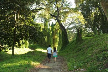 Una pareja camina por el Parque Almendares.