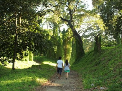 Una pareja camina por el Parque Almendares.