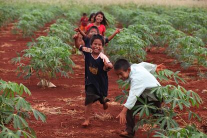 Niños juguetean en medio de la plantación de la aldea Tekoha Nhu Verá.