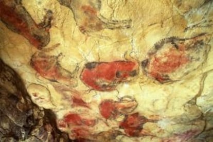 This is a wide view of the 14,000-year-old painted bison on the ceiling of the polychrome chamber in the Altamira cave.
