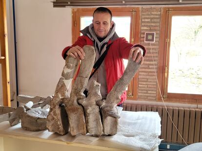 Un equipo restaurará el extenso patrimonio paleontológico de Morella y la comarca de Els Ports (Castellón).