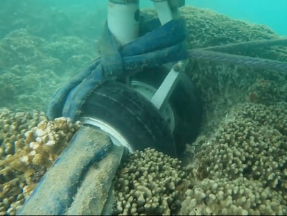 Video captado por buzos de la marina de la aeronave atascada en Kaneohe, Hawái, el 28 de noviembre 2023.