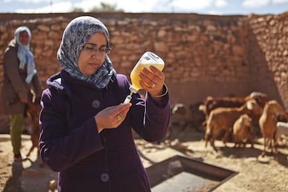 "Mi familia también se ha beneficiado de la educación que recibo. Es verdad que ellos no se han formado directamente, pero aprenden de mi experiencia. Ahora ven como yo pongo las vacunas a los animales y aprende cómo lo estoy haciendo".