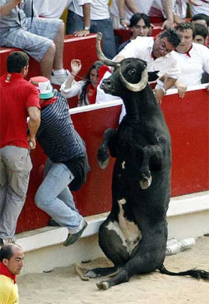 Una vaquilla se cae tras intentar saltar el burladero en el encierro de ayer.