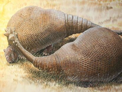 Recreación artística de dos gliptodontes, familiares de los armadillos de hasta dos toneladas. Se ha secuenciado ADN recuperado de su caparazón