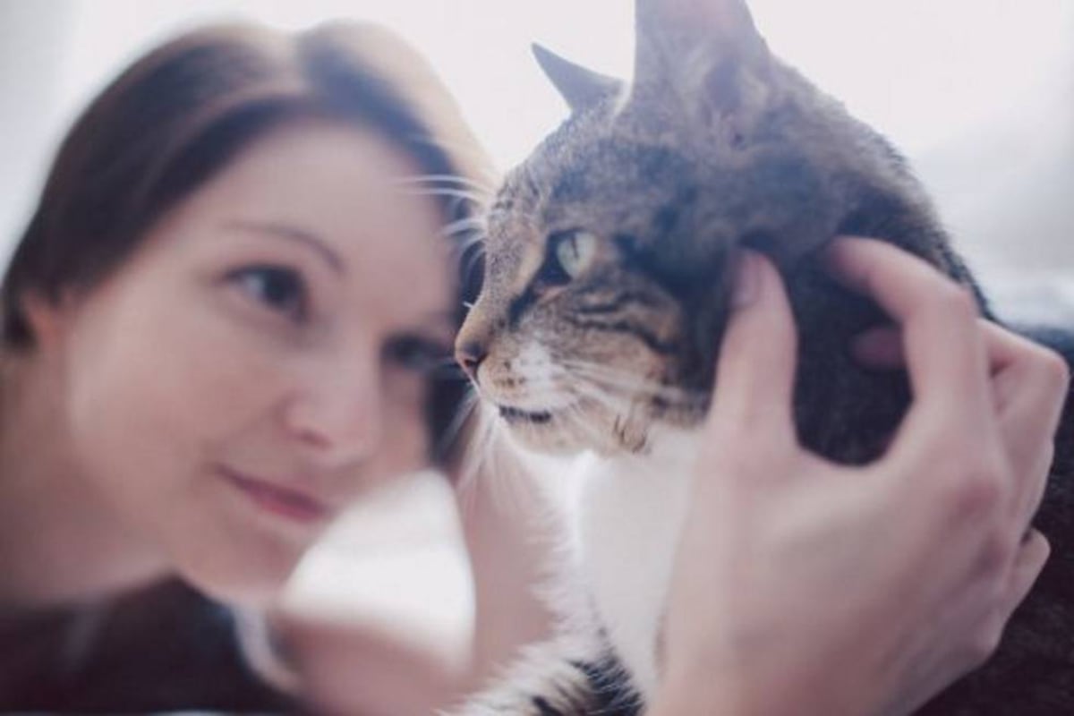 Maternidad: Estoy embarazada y tengo gato en casa, ¿debo preocuparme? |  Noticias de actualidad | EL PAÍS