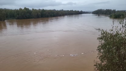 El río Odiel a su paso por Gibraleón (Huelva). / JUNTA DE ANDALUCÍA