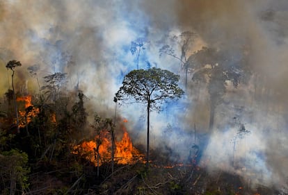 Queimada na Amazônia no dia 15 de agosto de 2020.