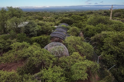 El predio donde se encuentra Pumakawa, tiene 3 hectáreas destinadas para el centro de rescate y 26 hectáreas de monte sobre la sierra de la provincia de Córdoba. 