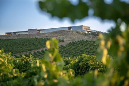 Bodegas Finca Montepedroso (Valladolid).